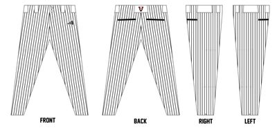 Metter Vipers Custom Pro-Fit Baseball Pants #BP3D