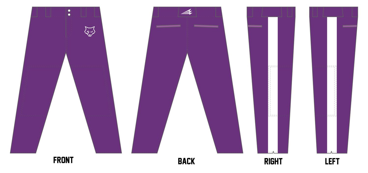 WILD B.C. (Neshaminy) Athletic Baseball Pant #BP19B