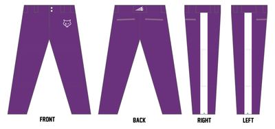 WILD B.C. (Neshaminy) Athletic Baseball Pant #BP19B