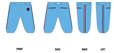 NTX Warhawks Custom Knicker Baseball Pant #BP1e