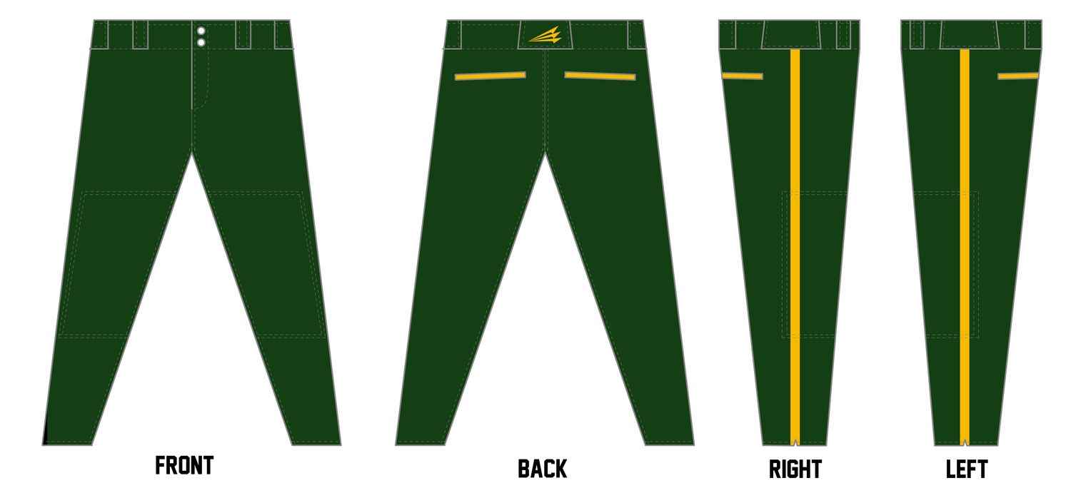 Wilco Battlehawks Custom Athletic Cut Baseball Pant #BP2