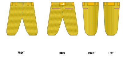 Chiville Sharx Custom Knicker Baseball Pant #BP11B