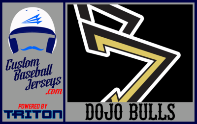 Dojo Bulls