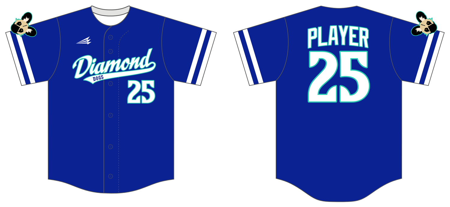 Diamond Dogs (Santacruz) Custom HexaFlex Baseball Jersey #J1C