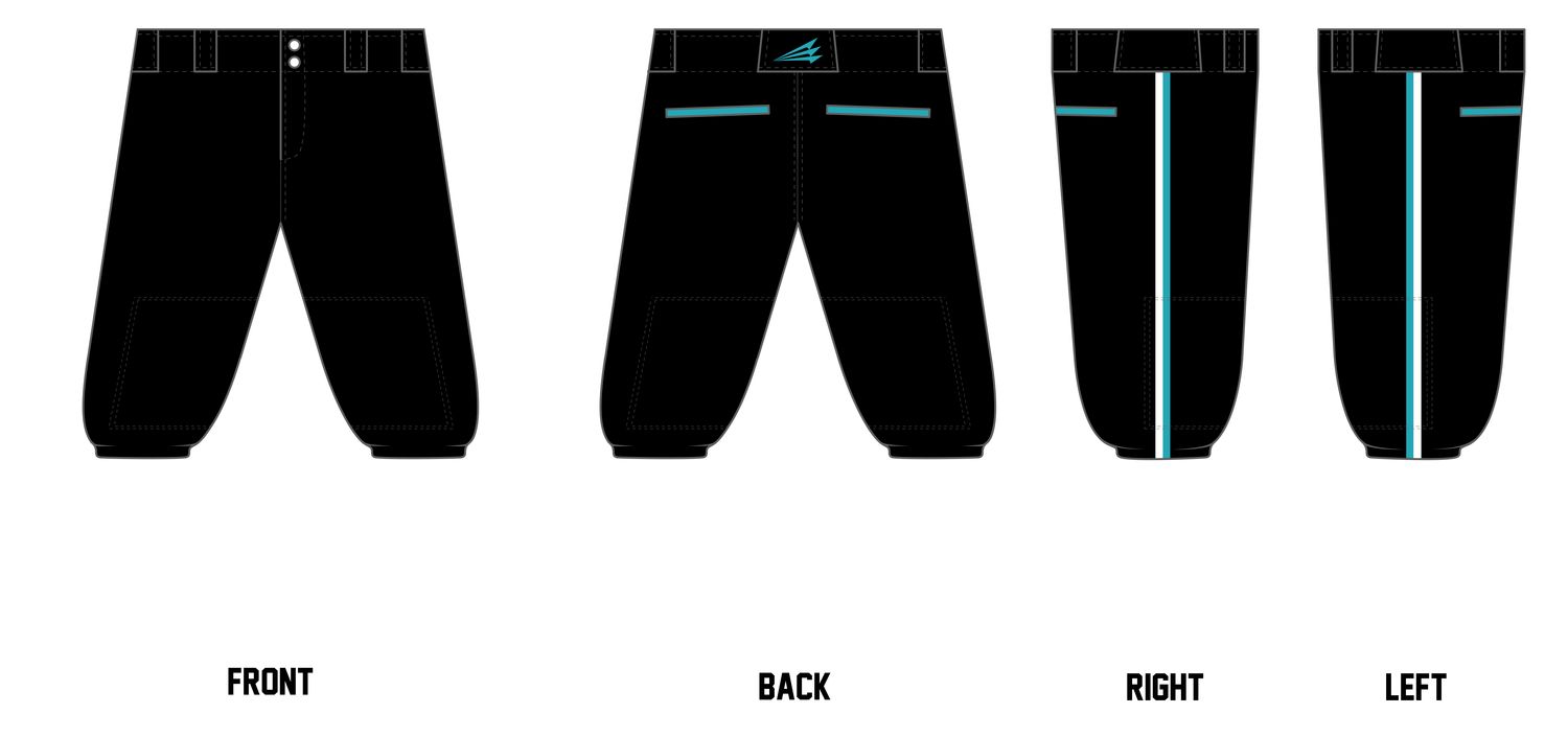 NC Diamond Dawgs Custom Knicker Baseball Pant #BP1B