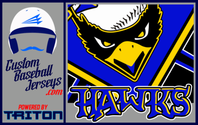 Snow Hill Hawks