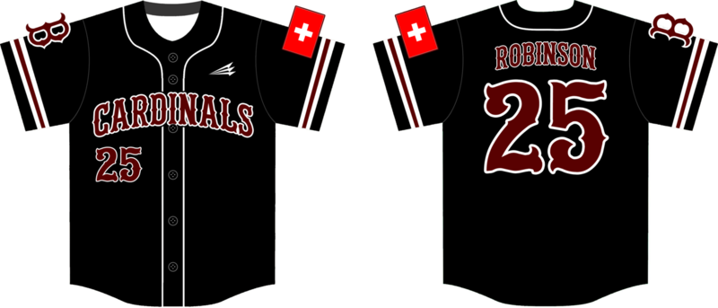 Bern Cardinals Custom Nanodri Baseball Jersey #3B