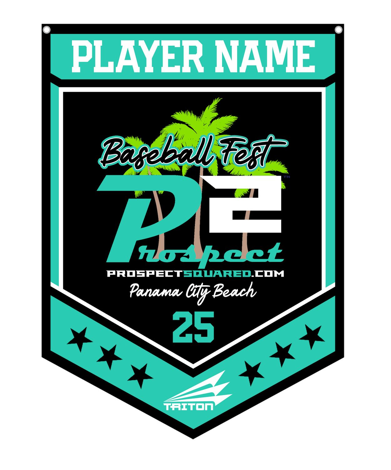P2 Baseball Fest Custom Banner