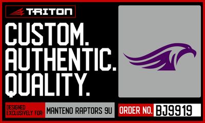 Manteno Raptors 9U