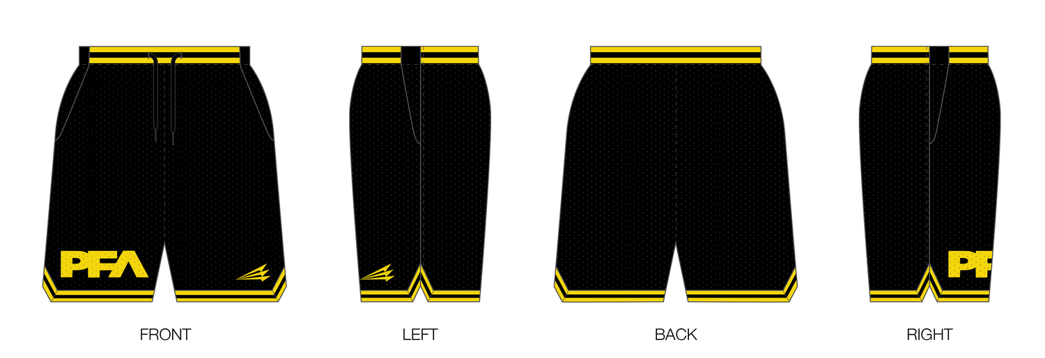 PFA Taylor Custom Retro Mesh Shorts #MS1