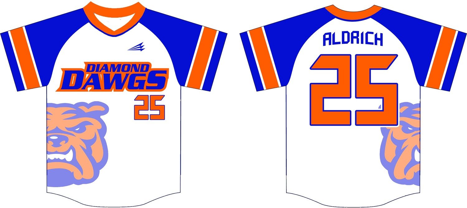 Diamond Dawgs (Aldrich) Custom NanoDri Baseball Jersey #2