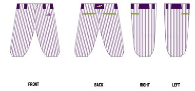 Manteno Raptors 12U Custom Knickers Baseball Pant #BP5B