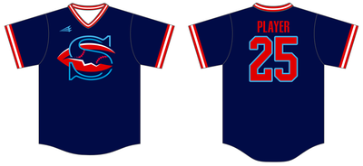 Skagit Dungies Custom HexaFlex Baseball Jersey #J3D