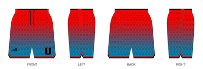 Unleashed Athletics Custom Retro Mesh Shorts #MS1