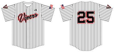 Metter Vipers Custom Hexaflex Baseball Jersey #J3B