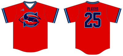 Skagit Dungies Custom HexaFlex Baseball Jersey #J3B