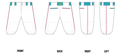 Chiville Sharx Custom Knicker Baseball Pant #BP6E