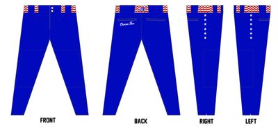 Arkansas Chosen Few Custom Athletic Fit Baseball Pant #BP4
