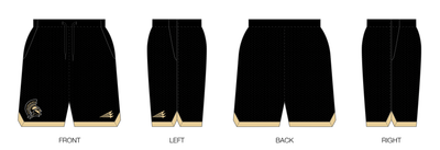 Anderson Trojans Custom Retro Mesh Shorts #MS1