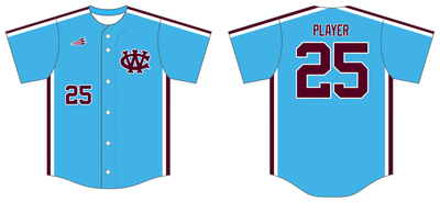 Central Wisconsin Impact Custom HexaFlex Baseball Jersey #J1D