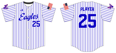 Lake Villa Eagles Custom HexaFlex Baseball Jersey #J8C