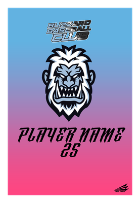 Blizzard Baseball Club Custom 4'x6' Blanket #BLK2B