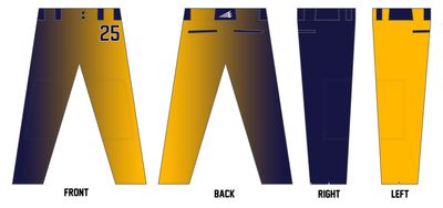 Gators Baseball Custom Long Relaxed Baseball Pant #BP1B