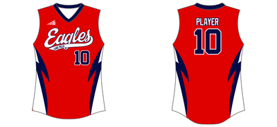 Lake Villa Eagles Softball Custom NanoDri Softball Jersey #J3B