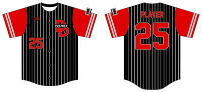 Dirt Dawgs Premier Custom HexaFlex Baseball Jersey #J5C