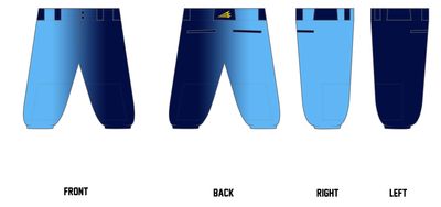 Parkersburg Astros Custom Knicker Baseball Pant #BP1B