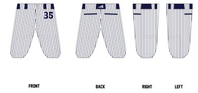 Gators Baseball Custom Knicker Baseball Pant #BP2C