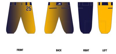 Gators Baseball Custom Knicker Baseball Pant #BP1C