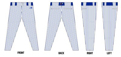 Arkansas Hornets Custom Athletic Baseball Pant #BP1
