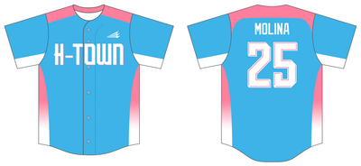 Wow Factor (Molina) Custom NanoDri Baseball Jersey #J4b