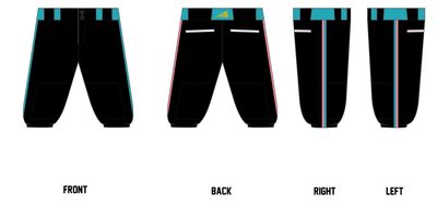 Chiville Sharx Custom Knicker Baseball Pant #BP8C