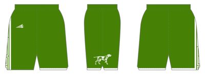 Van Buren Pointers Custom HexaFlex Crossover Basketball Shorts #BS5