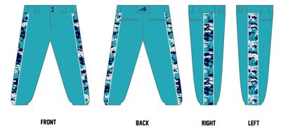 Botetourt Breakout Custom Fastpitch Pant #FP5