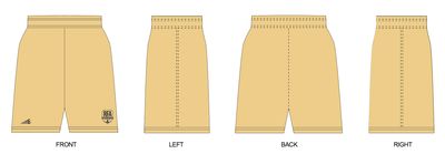 Rozeboom Futbol Academy Custom Soccer Shorts #SS1