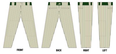 Richland County Raptors Custom Athletic Baseball Pant #BP9