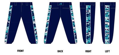 Botetourt Breakout Custom Fastpitch Pant #FP6