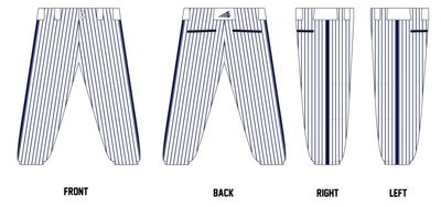 Botetourt Breakout Custom Fastpitch Pants #FP1