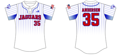 Jaguars (Andersen) Custom Nanodri Softball Jersey #J2B