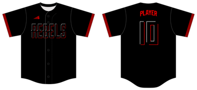 Carroll Rebels Custom NanoDri Baseball Jersey #J5BX