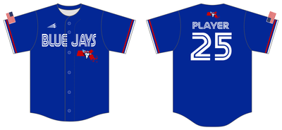 Massachusetts Blue Jays Custom NanoDri Baseball Jersey #J1D