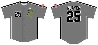 Renegades (Johnson) Custom NanoDri Baseball Jersey #J3