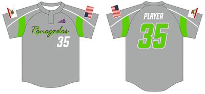 Renegades Custom HexaFlex Baseball Jersey #J3D