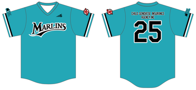 Hingham LL Custom NanoDri Baseball Jersey #J13C