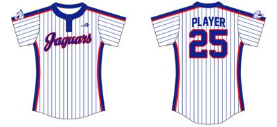 Jaguars (Andersen) Custom Hexaflex Softball Jersey #J5C