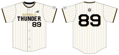 Ocean Beach Softball League Custom HexaFlex Baseball Jersey #J5