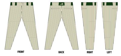 Richland County Raptors Custom ProFit Baseball Pant #BP9P